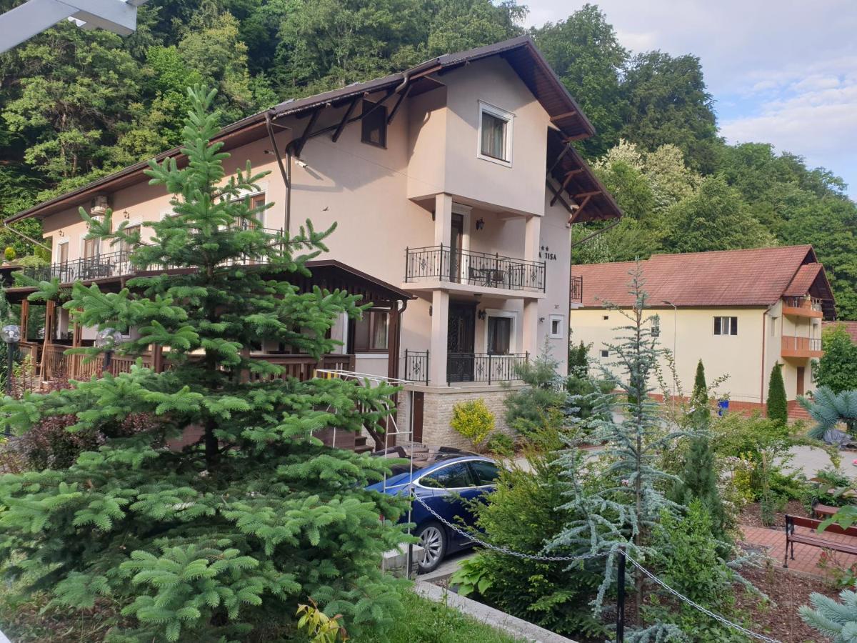 Vila Tisa Tismana Extérieur photo